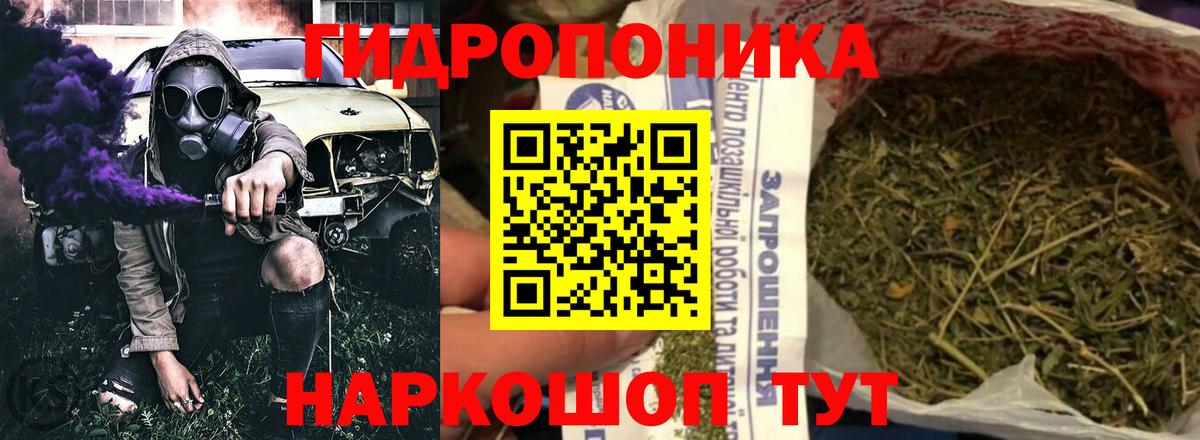 Шишки марихуана планчик Приморско-Ахтарск